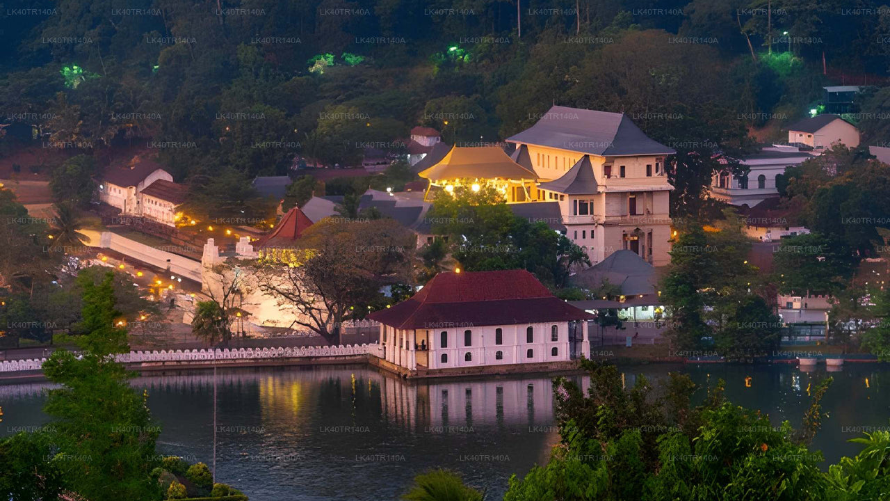 De Ella a Kandy: un viaje panorámico en tren, coche o furgoneta