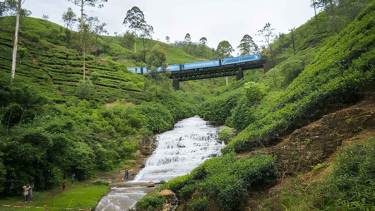 Kandy to Ella: A Scenic Journey by Train and Car or Van