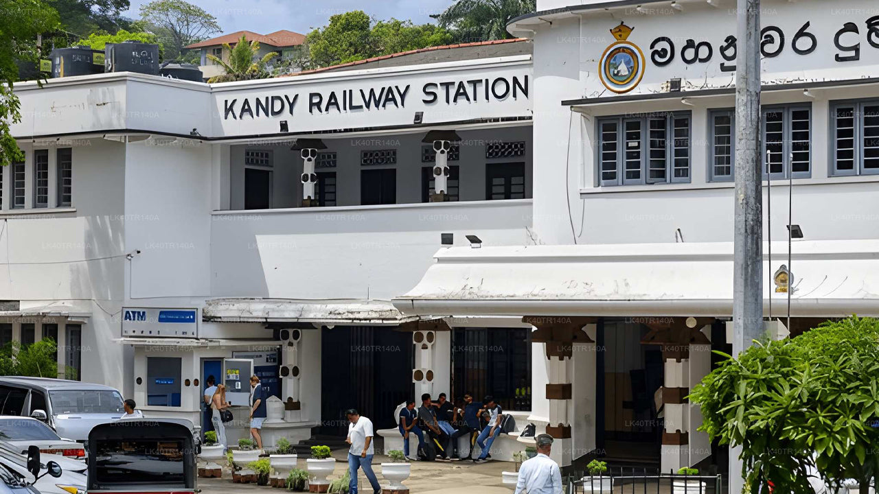 De Kandy a Ella: un viaje panorámico en tren, coche o furgoneta