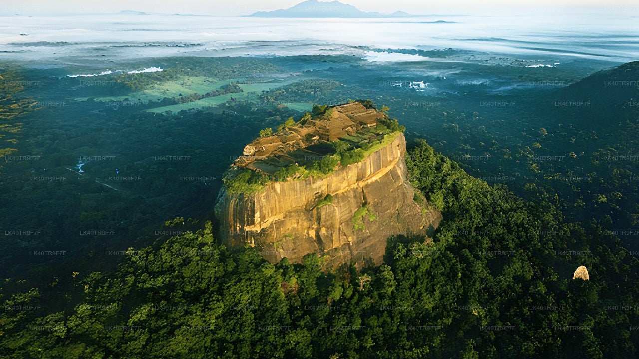 Traslado privado de Colombo a Sigiriya con paradas turísticas.