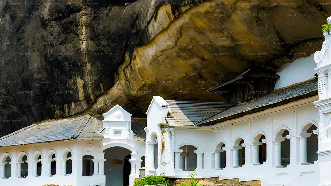 Traslado privado de Colombo a Sigiriya con paradas turísticas.