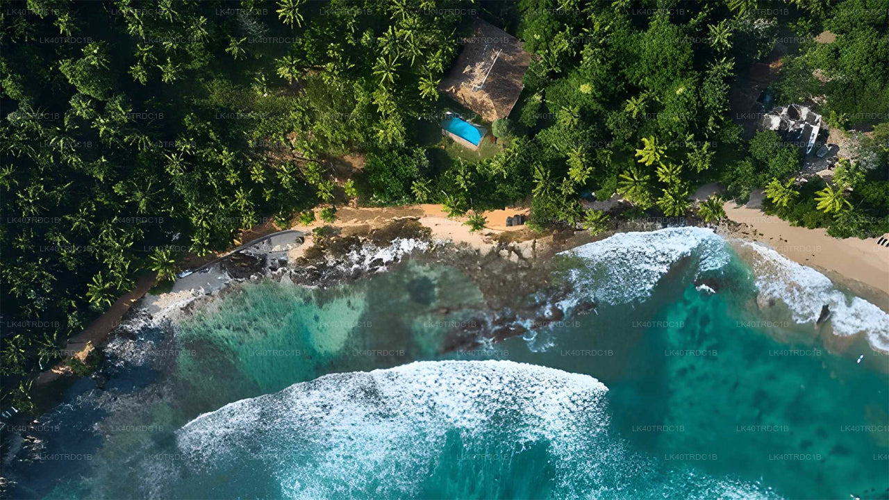 Traslado privado de Negombo a Hiriketiya con paradas turísticas