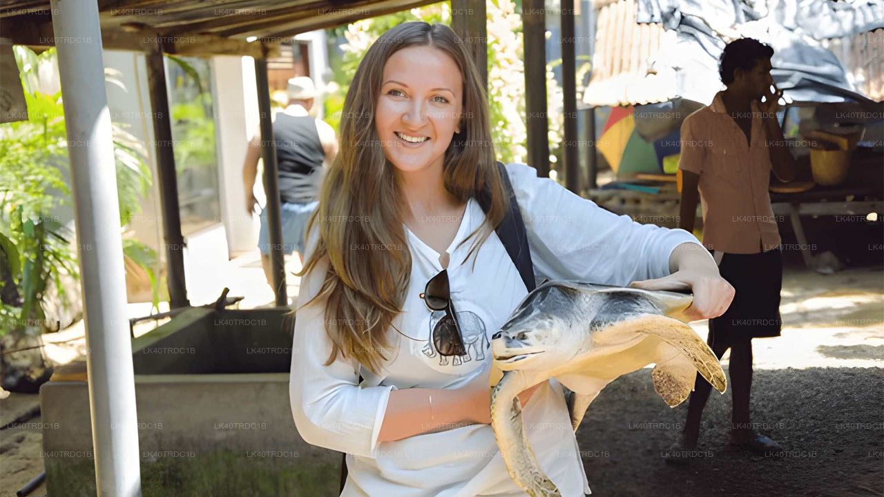 Traslado privado de Negombo a Hiriketiya con paradas turísticas