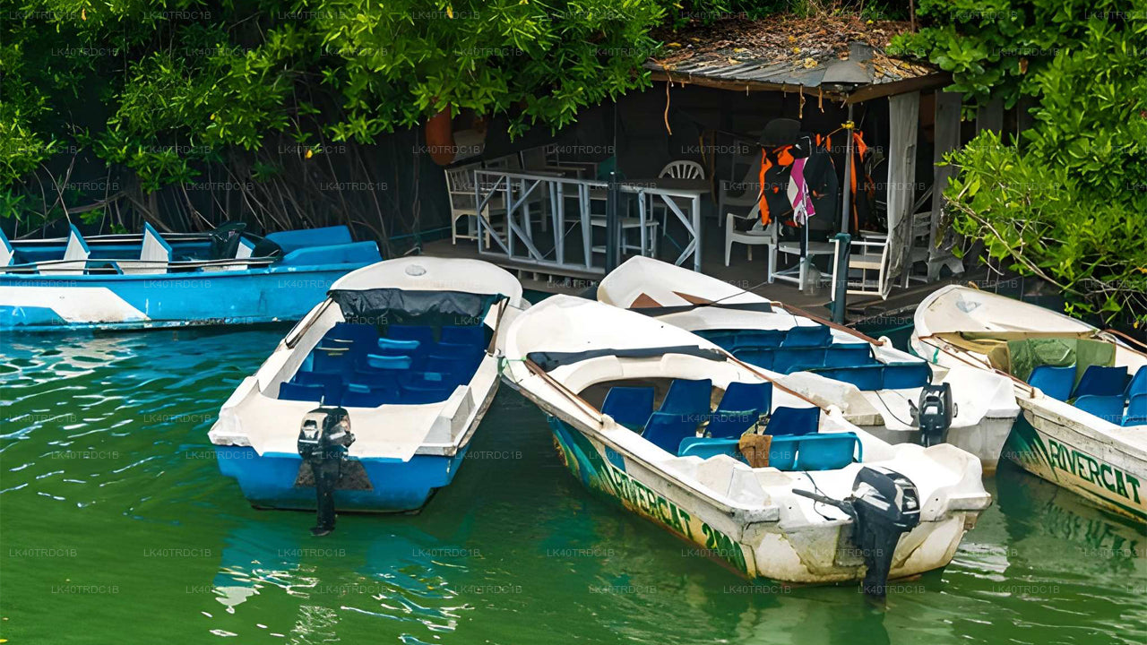 Traslado privado de Negombo a Hiriketiya con paradas turísticas