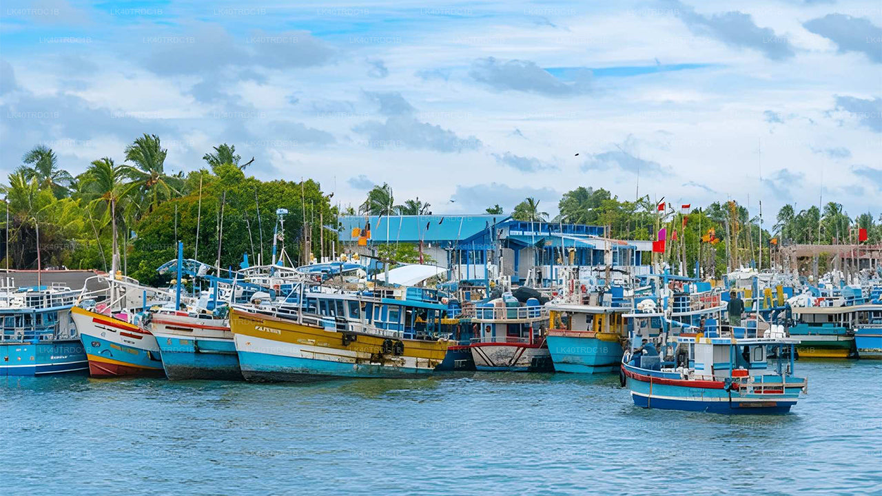 Traslado privado de Negombo a Hiriketiya con paradas turísticas