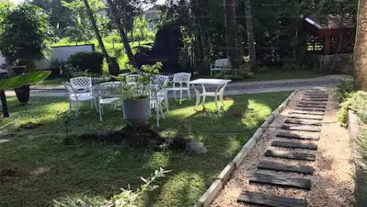 Silver Ray, Katunayake