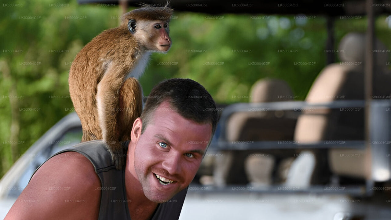 Tour privado de Ella a Weligama con Udawalawe Safari