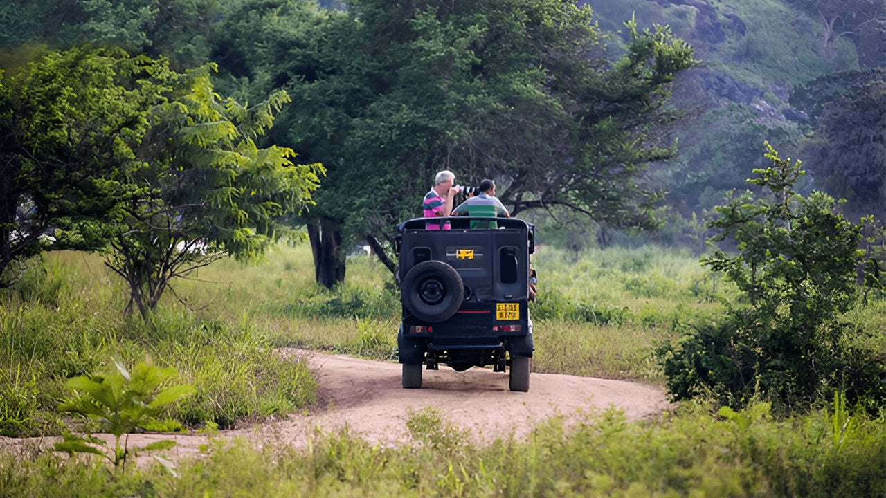 Safari Ético del Parque Nacional Yala (Bloque 5)