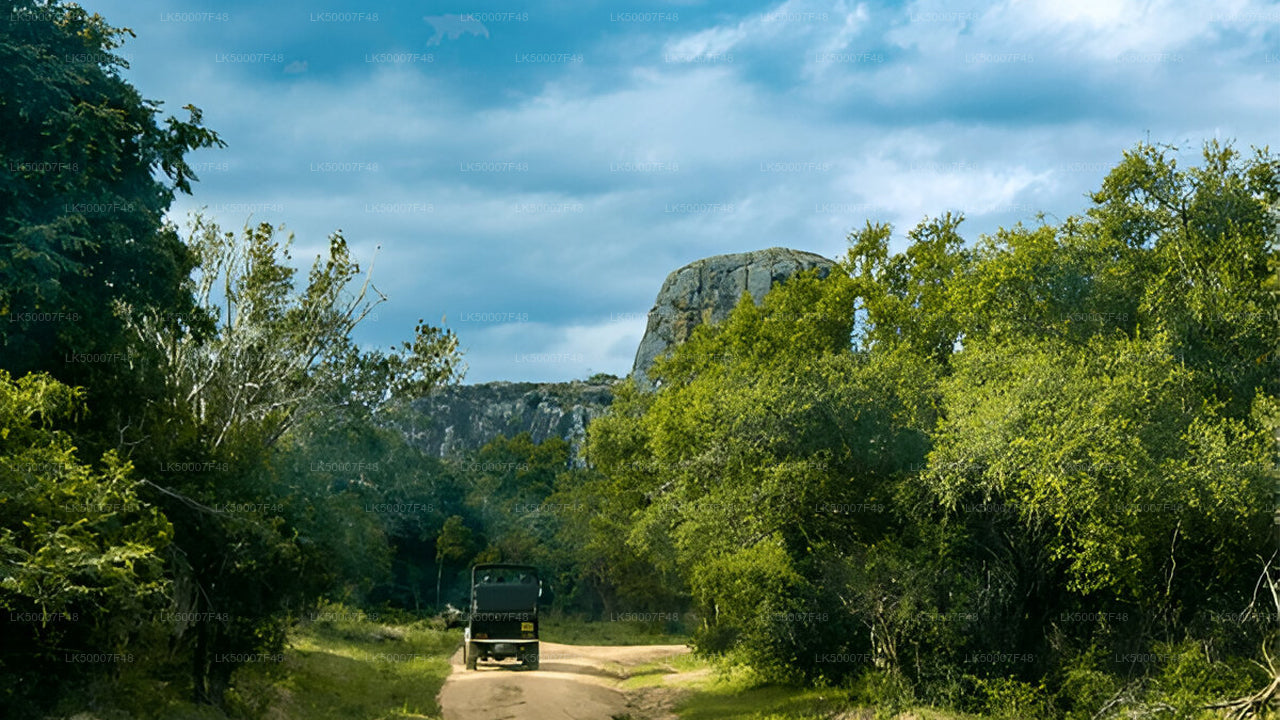 Private Tour from Mirissa to Ella with Yala Safari