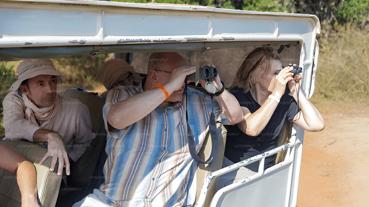 Tour privado de Weligama a Ella con Yala Safari