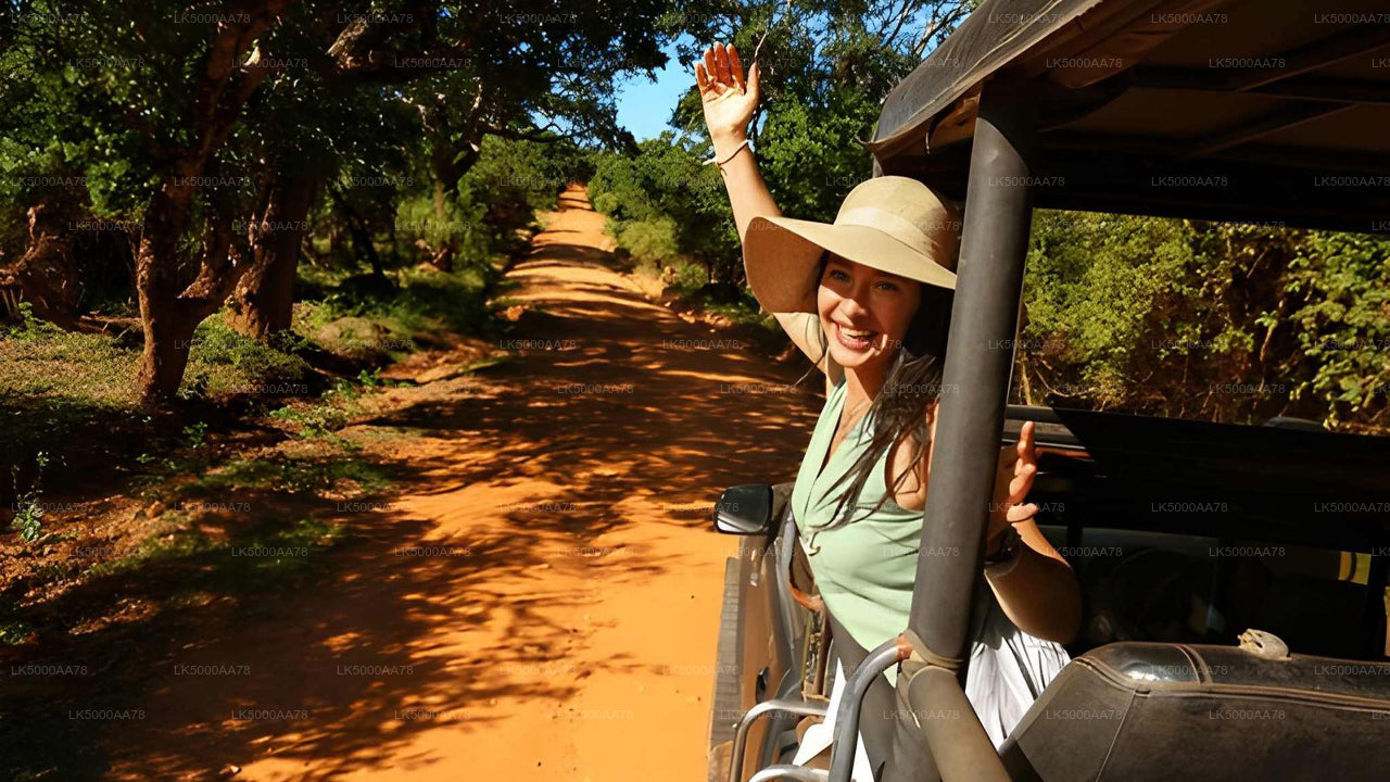 Safari privado en el Parque Nacional Wilpattu