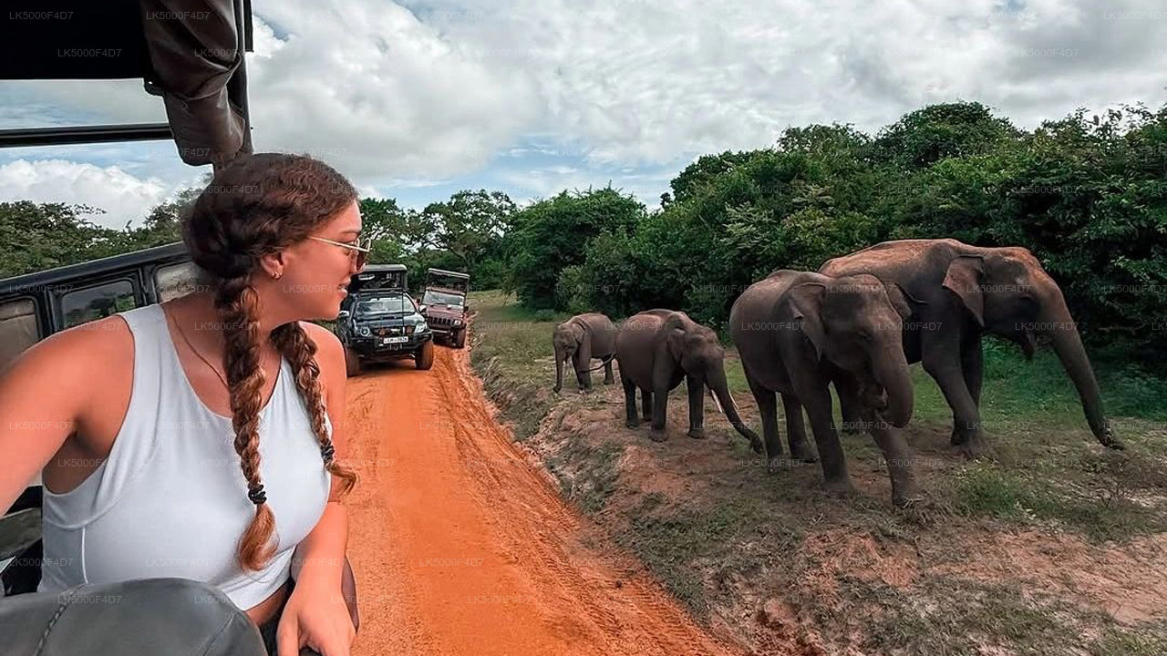 Tour privado de Ella a Hiriketiya con Yala Safari