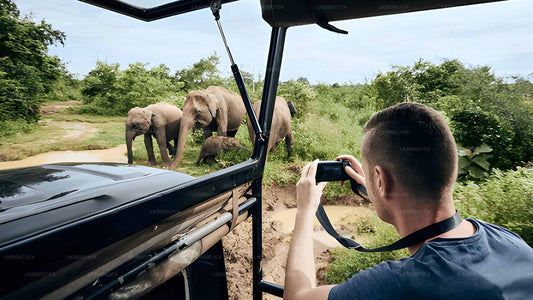 Tour privado de Ella a Hiriketiya con Udawalawe Safari