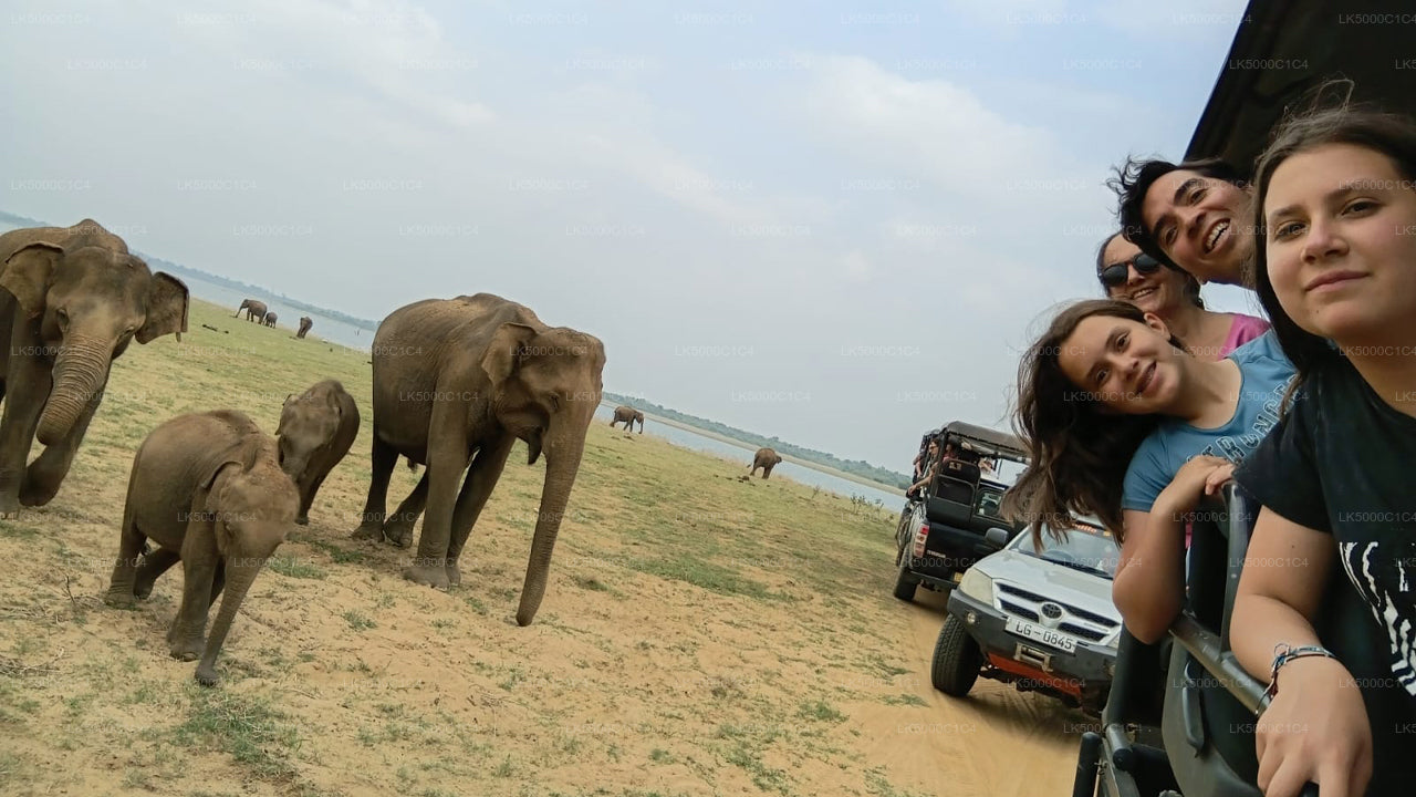 Tour privado de Ella a Hiriketiya con Udawalawe Safari