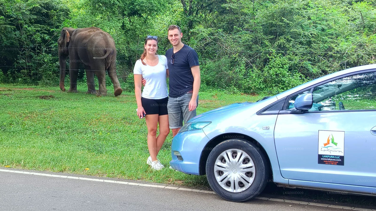 Tour privado de Galle a Ella con Udawalawe Safari