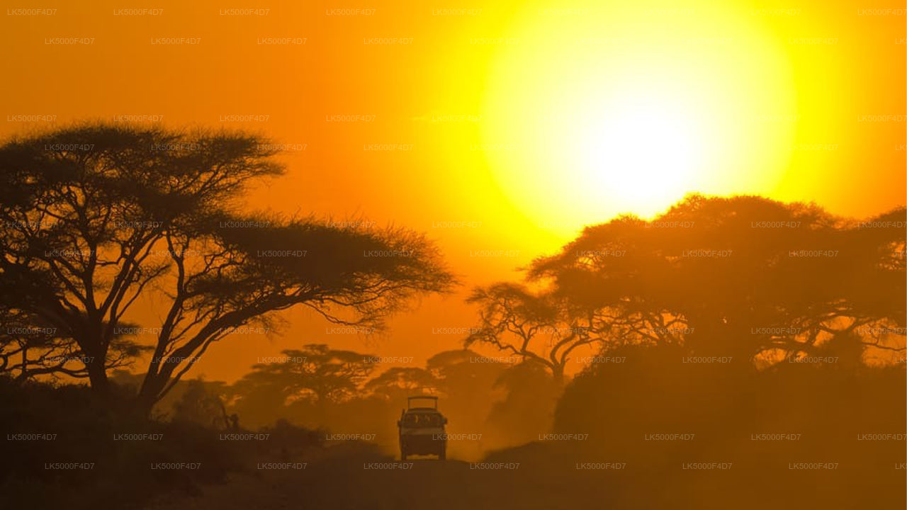 Tour privado de Ella a Hiriketiya con Yala Safari