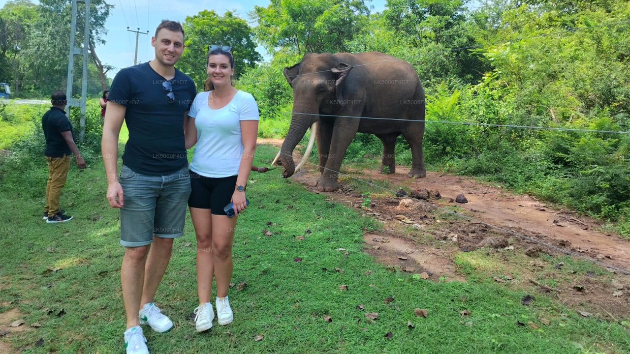 Tour privado de Ella a Hiriketiya con Yala Safari