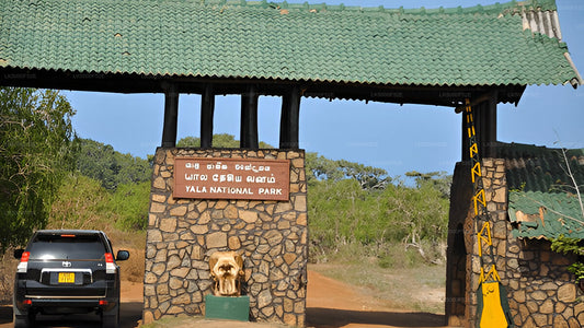 Safari Ético del Parque Nacional Yala (Bloque 5)