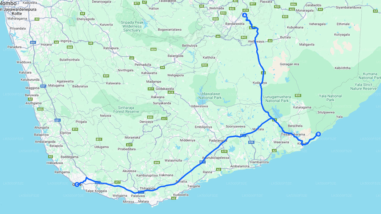 Private Tour from Ella to Galle with Yala Safari