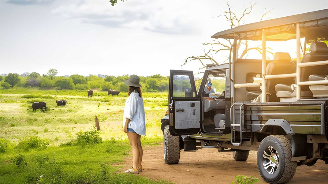 Safari privado con naturalista en el Parque Nacional de Udawalawe