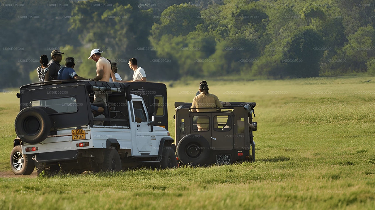 Safari privado en el Parque Nacional Kaudulla desde Sigiriya