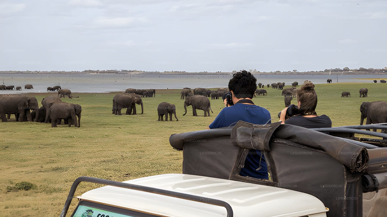 Safari privado en el Parque Nacional Kaudulla desde Sigiriya