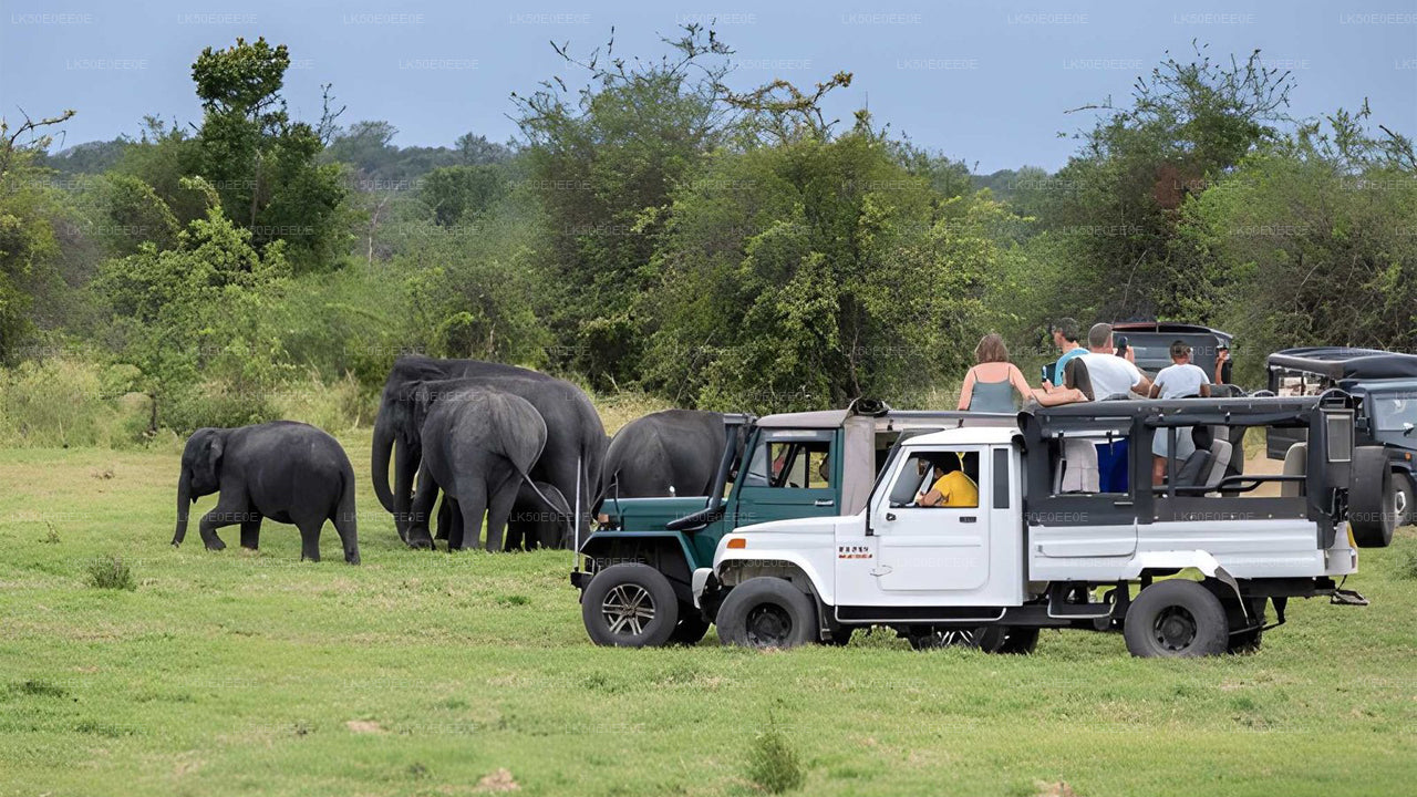 Safari privado al parque ecológico Hurulu