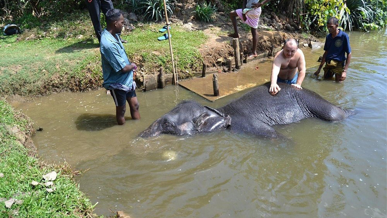 Paseo en elefante desde Boossa