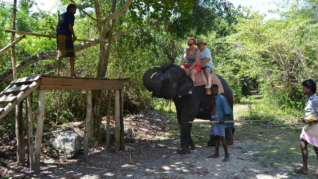 Paseo en elefante desde Boossa