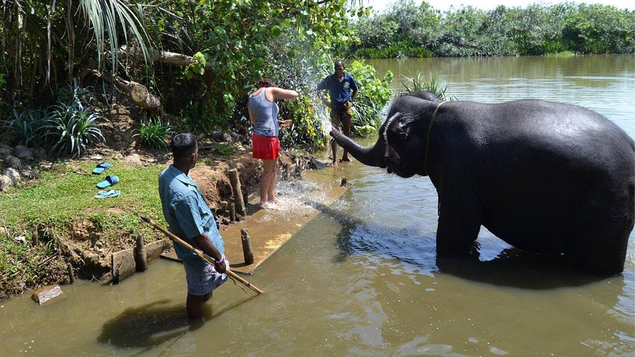 Paseo en elefante desde Boossa