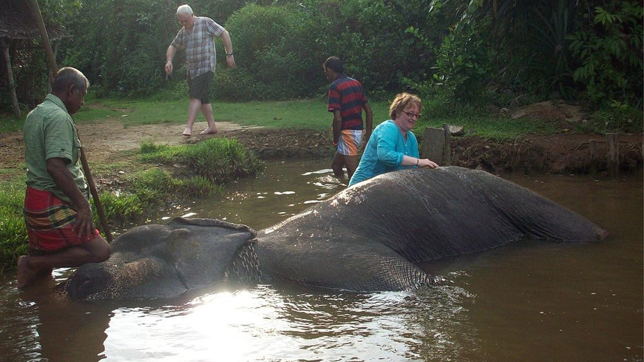 Paseo en elefante desde Boossa