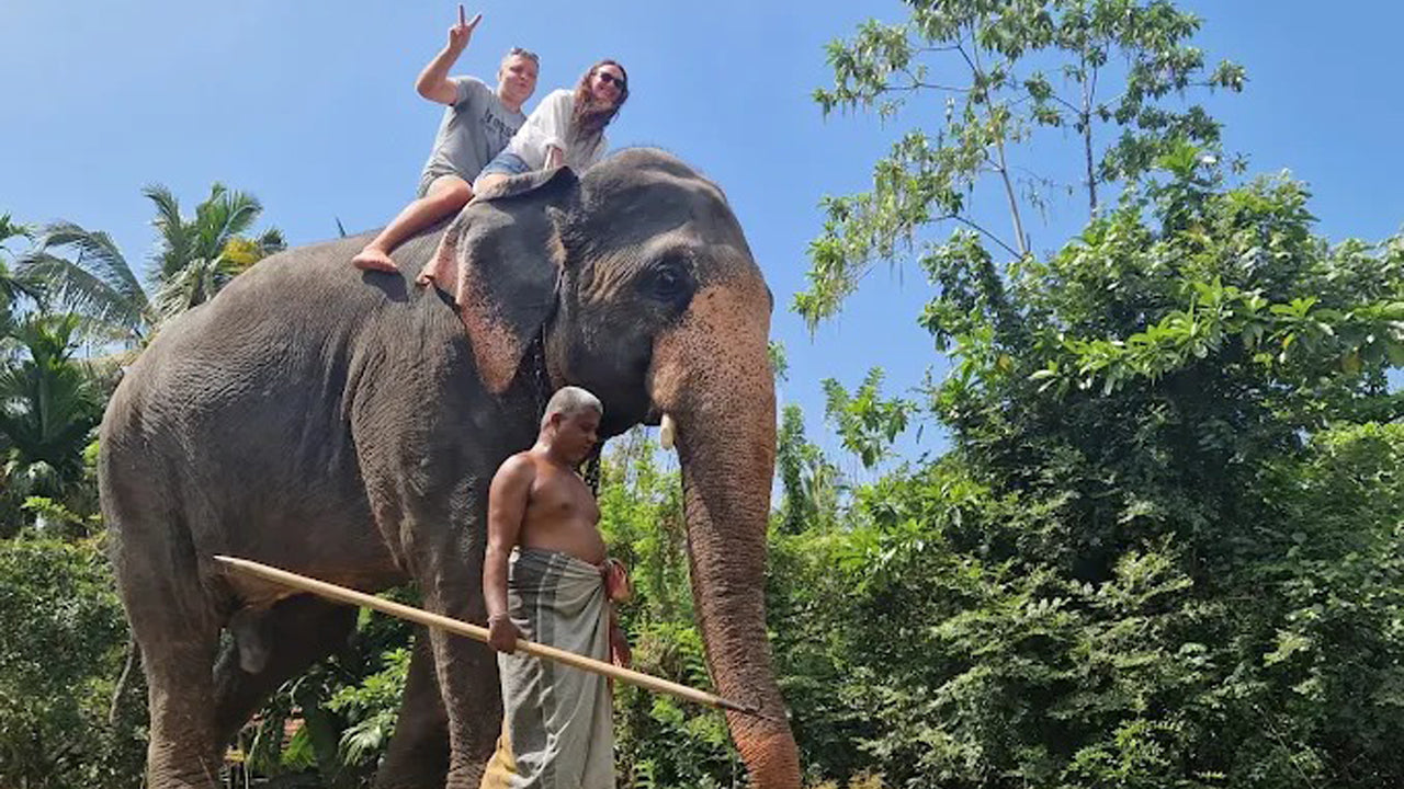 Paseo en elefante desde Boossa