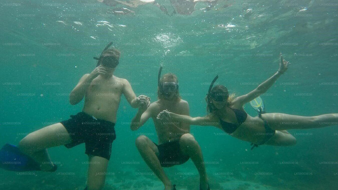 Snorkel desde Ahangama