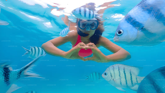 Snorkel con tortugas marinas desde Pigeon Island