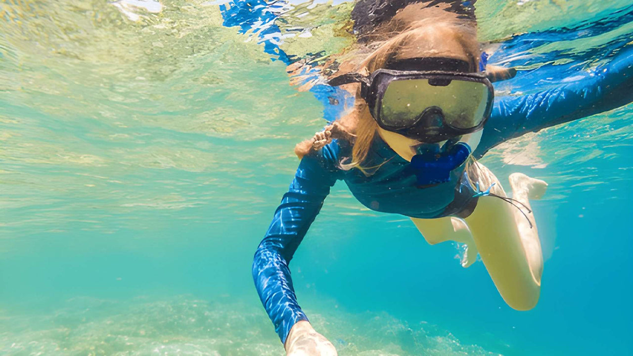 Snorkel con tortugas marinas desde Bentota