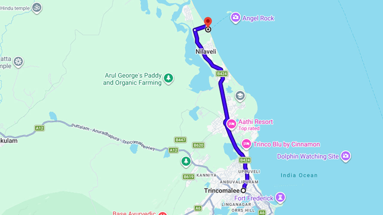 Snorkel en Coral Island desde Trincomalee