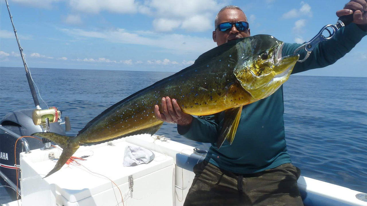 Excursión de pesca con curricán desde Galle