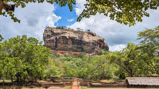 Sigiriya Rock, Village Experience and Wildlife Safari from Trincomalee