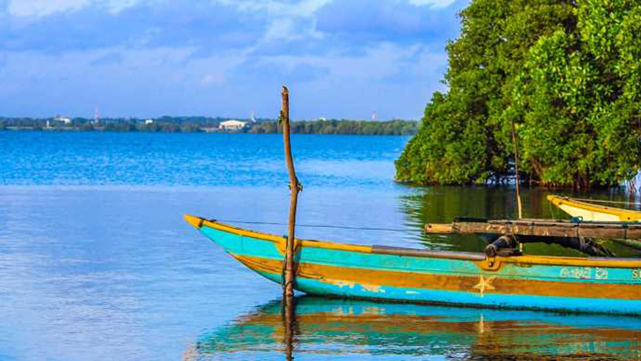 Excursión a la ciudad de Negombo desde Colombo