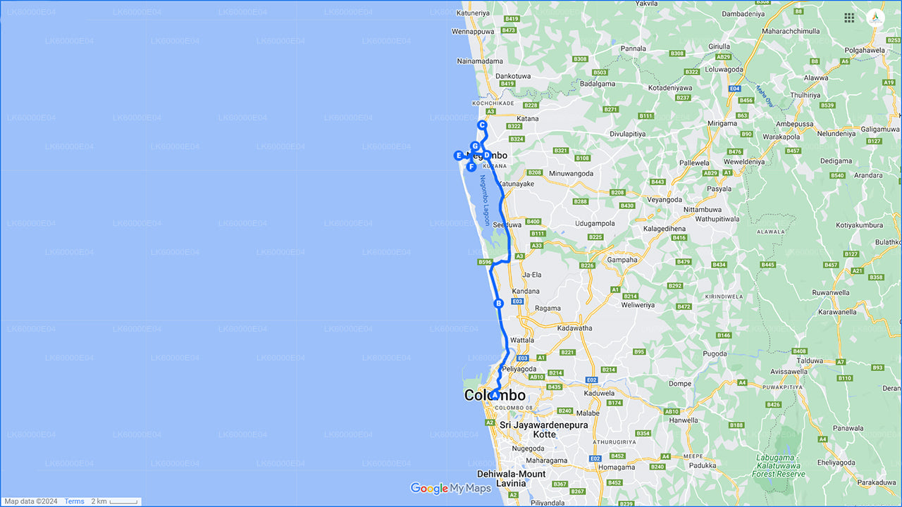 Excursión a la ciudad de Negombo desde Colombo