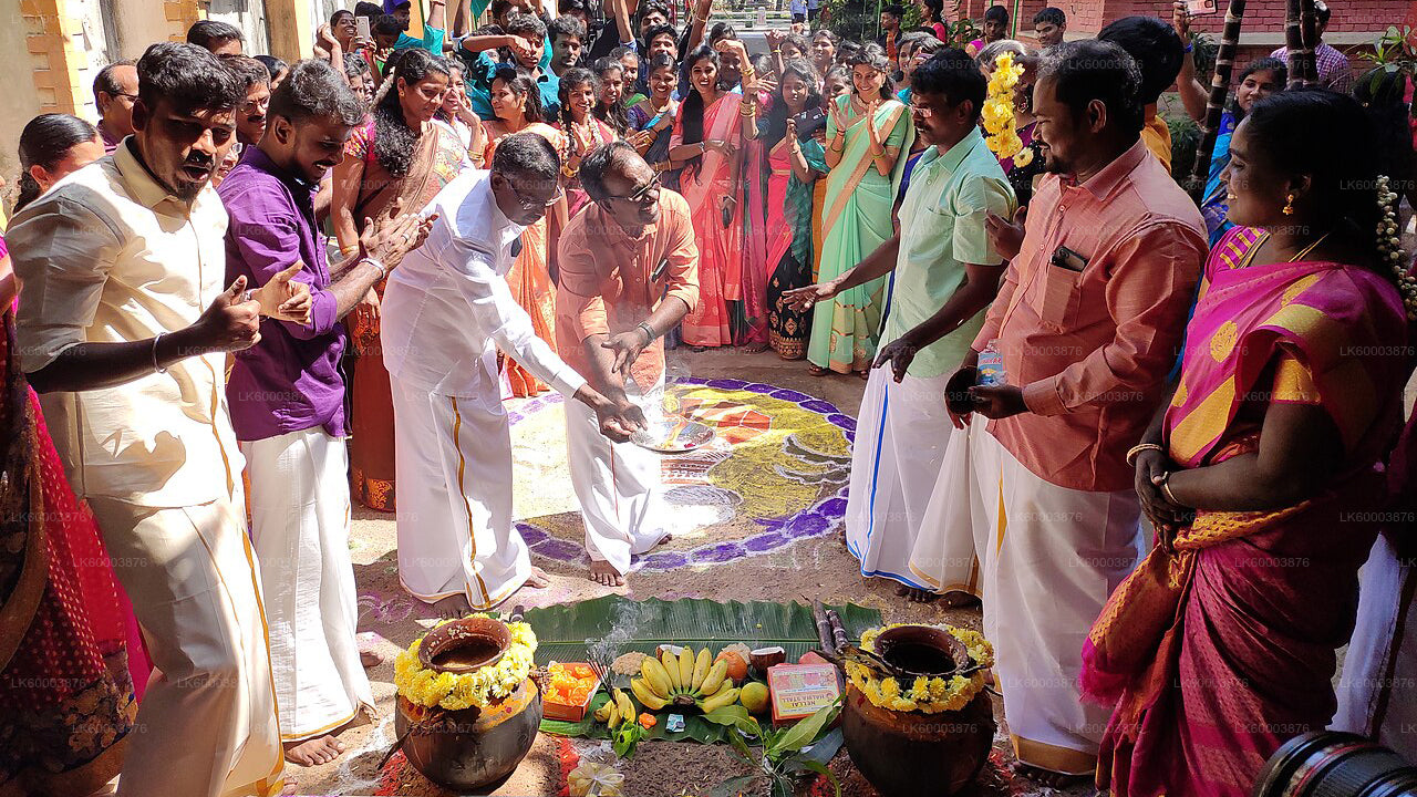 Experiencia cultural tamil de Kandapola desde Nuwara Eliya