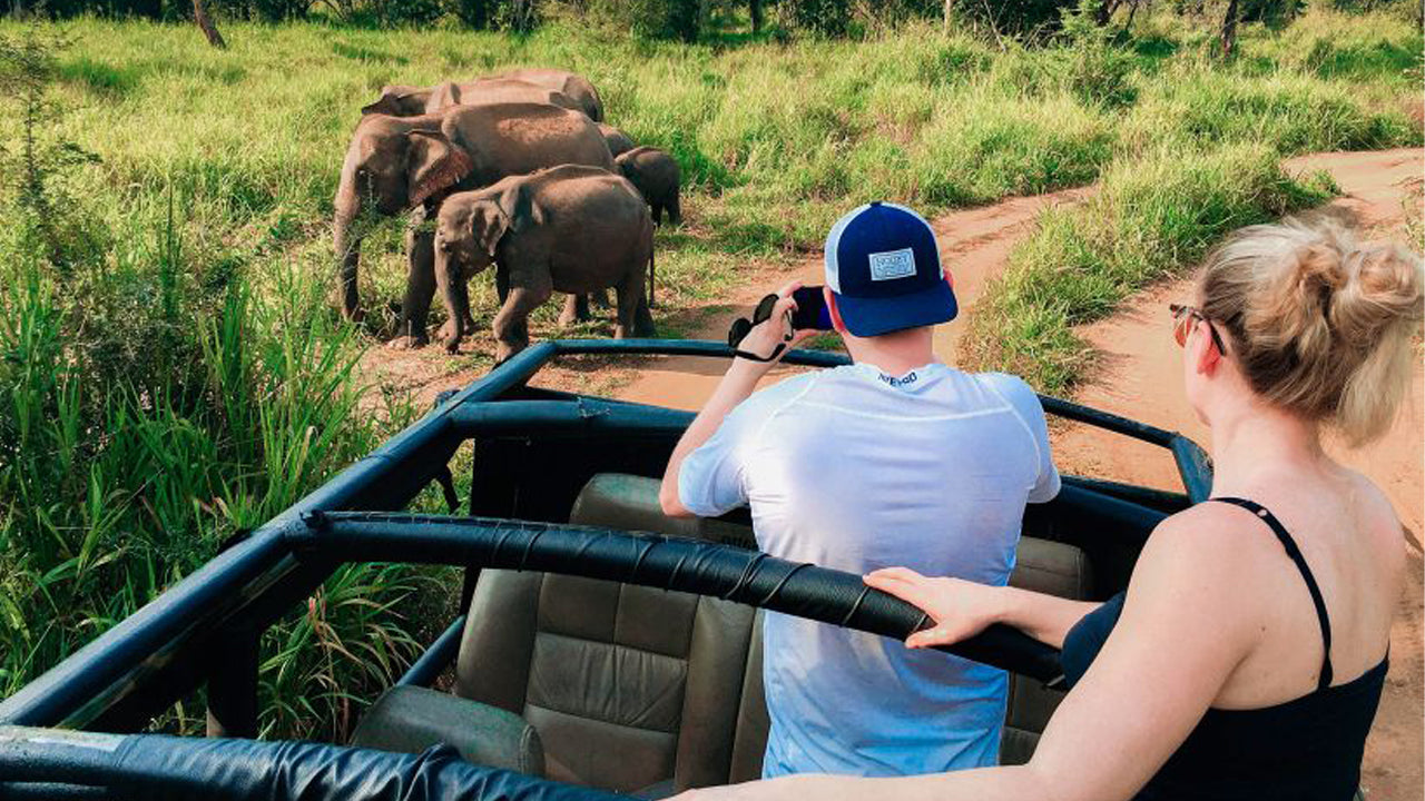 Excursión de un día al safari por el parque ecológico Hurulu desde Pasikuda