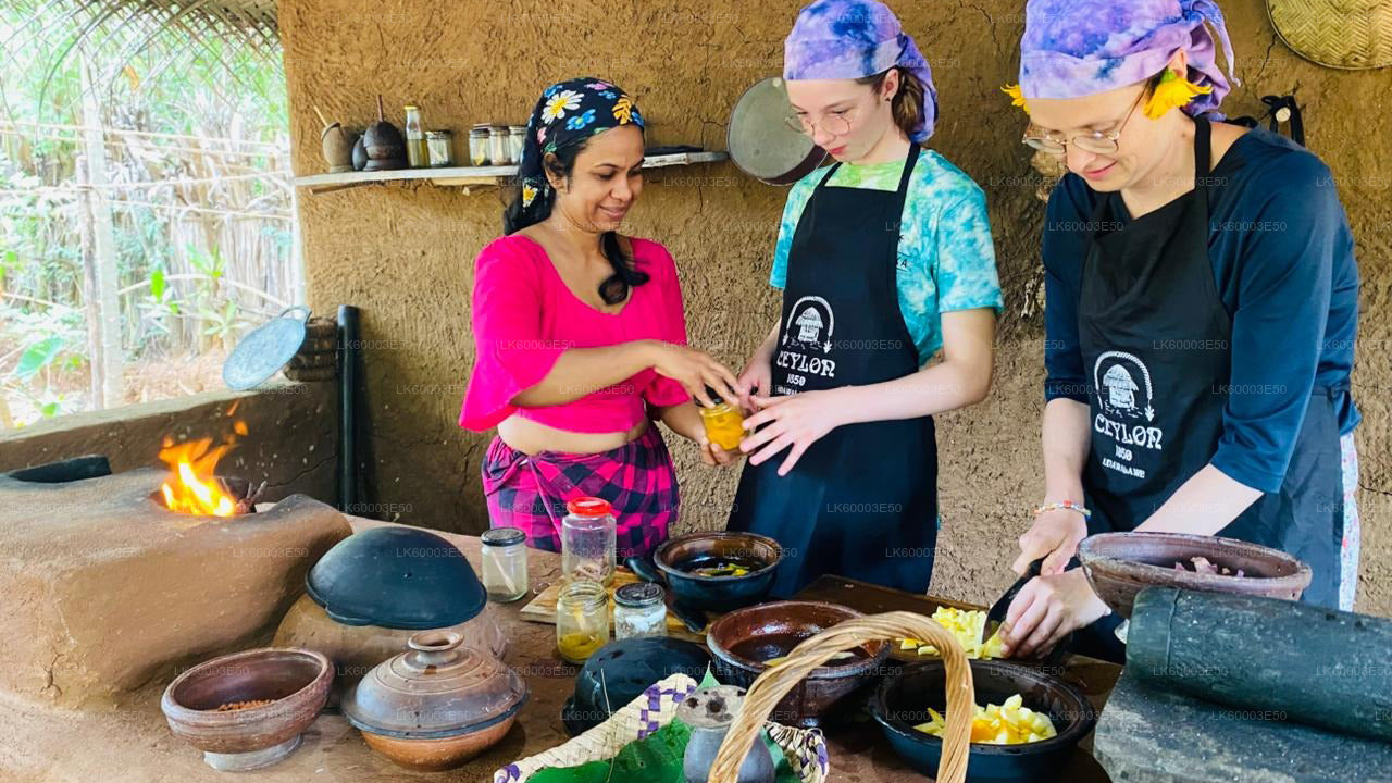 La agricultura de Sri Lanka, la mina de gemas y la experiencia en pueblos de Ceilán 1850