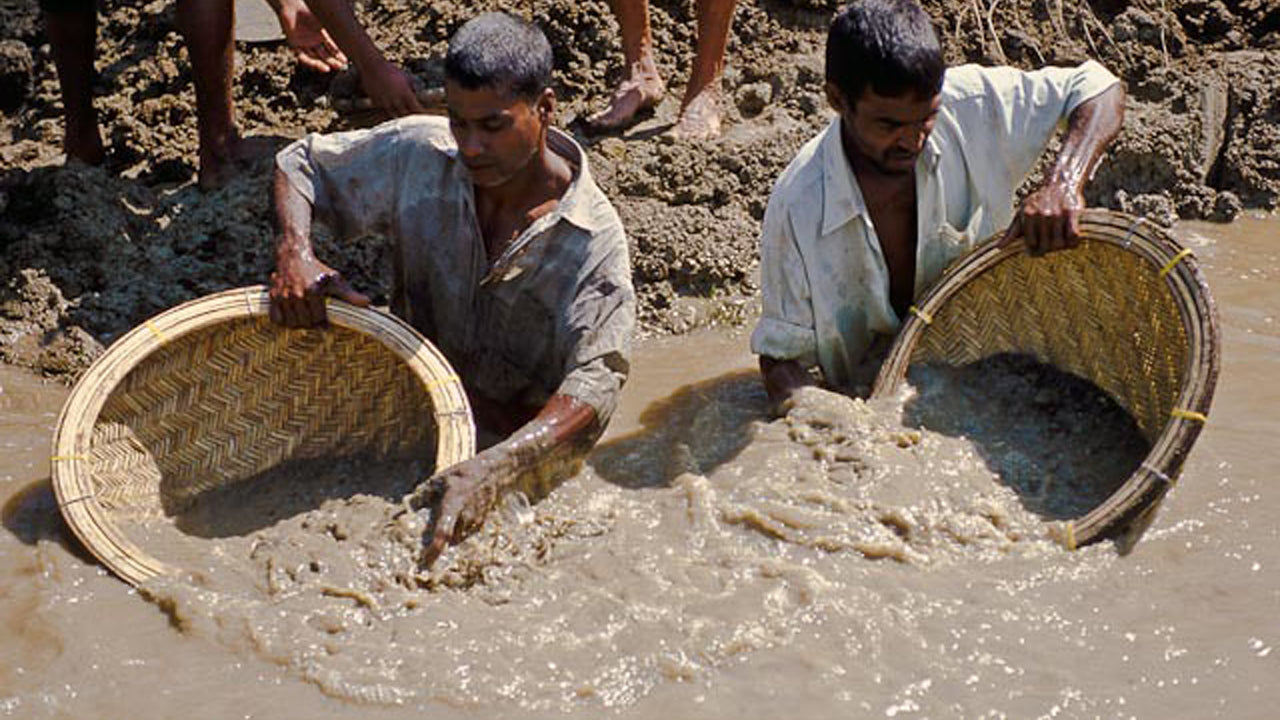 La agricultura de Sri Lanka, la mina de gemas y la experiencia en pueblos de Ceilán 1850