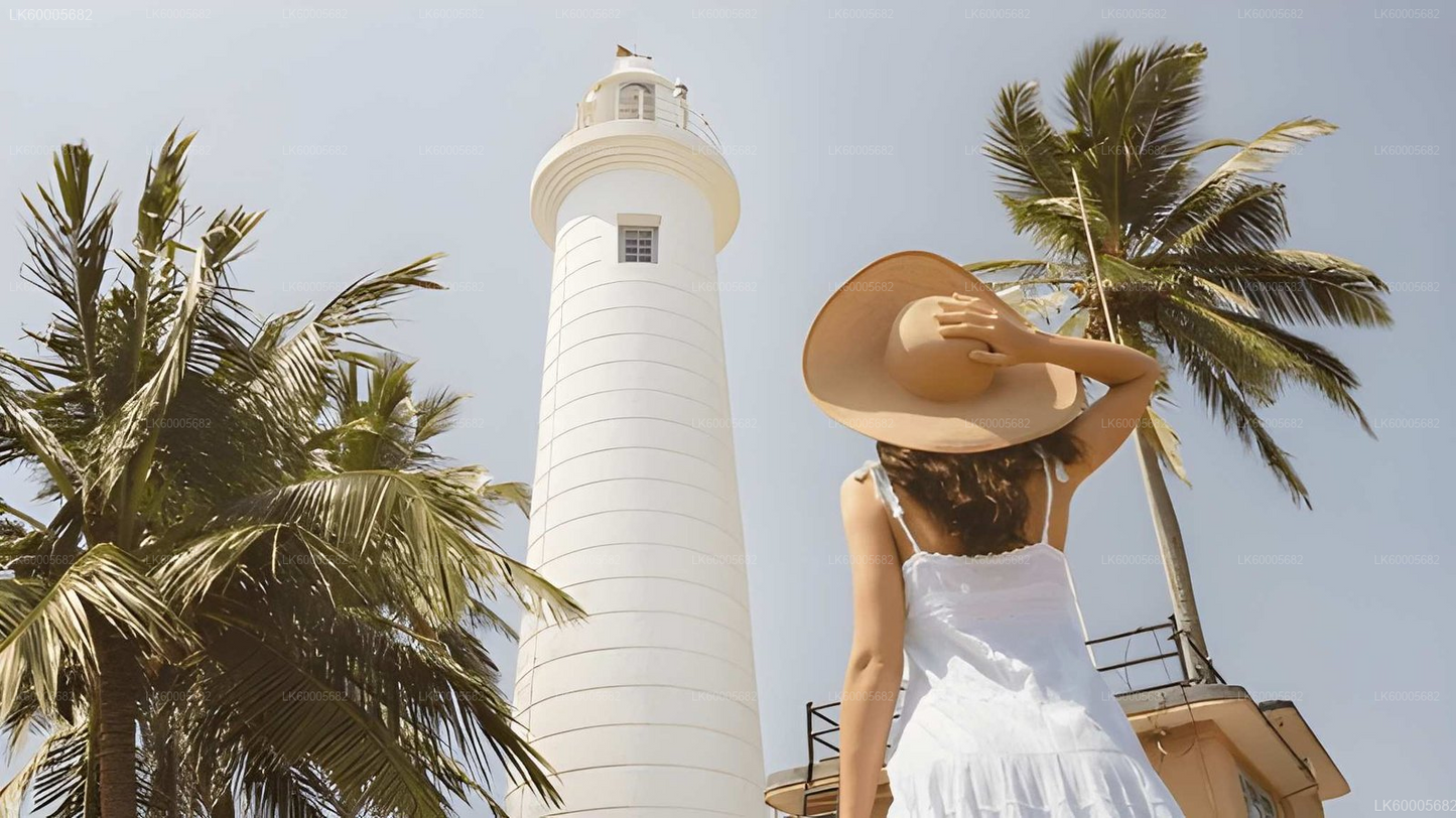 Private Tour from Colombo to Hambantota with Sightseeing Stops