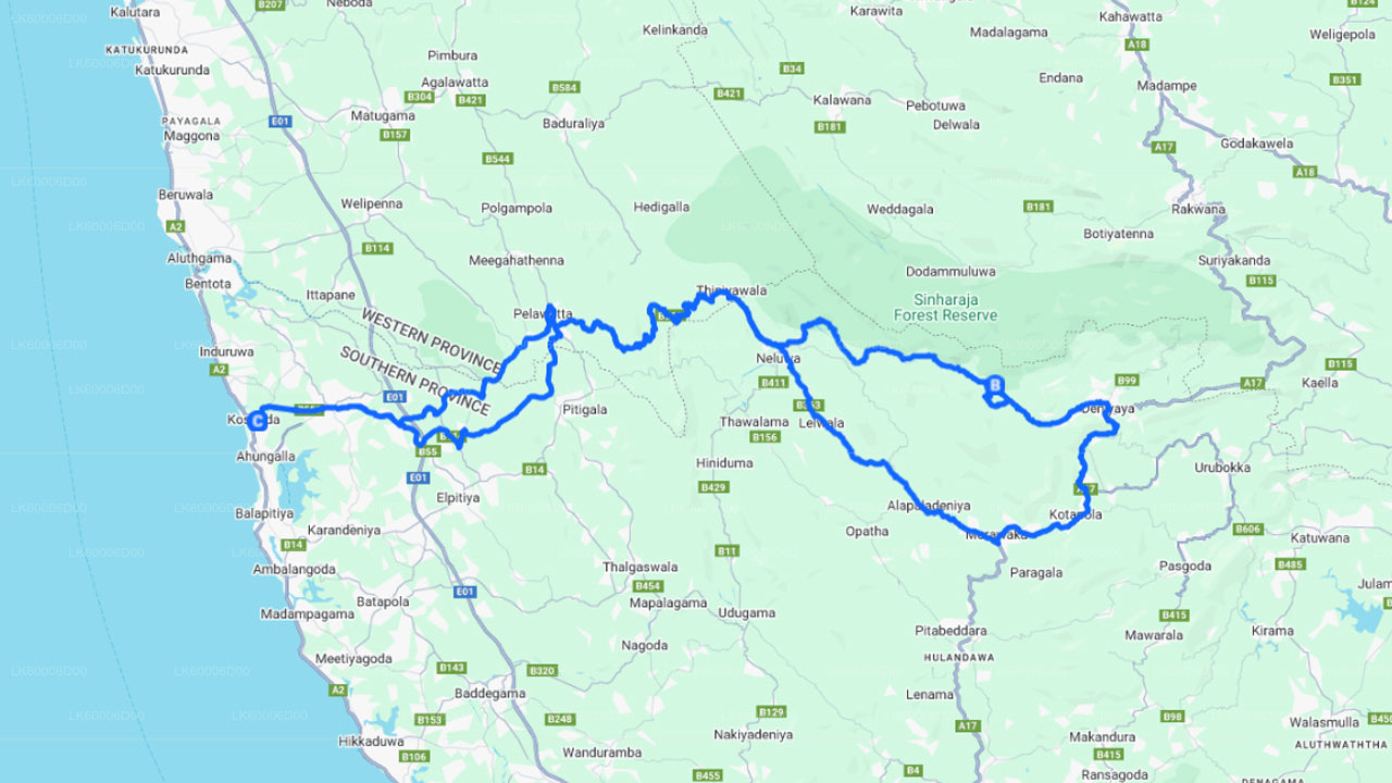 Visita guiada a la selva tropical de Sinharaja desde Kosgoda