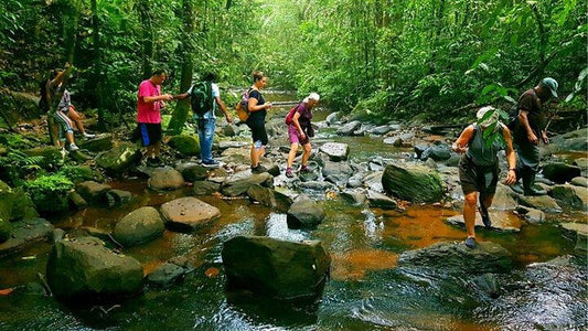 Excursión de un día a la selva tropical de Sinharaja desde Ahangama.