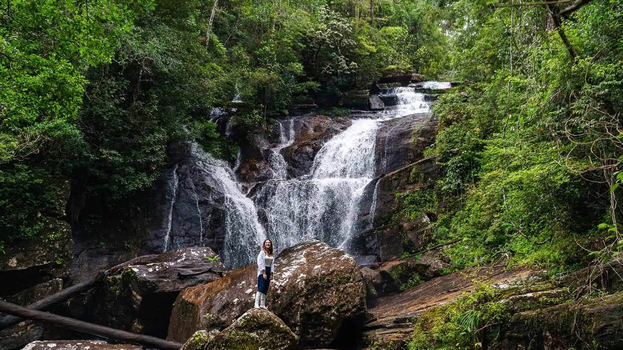 Excursión de un día a la selva tropical de Sinharaja desde Ahangama.