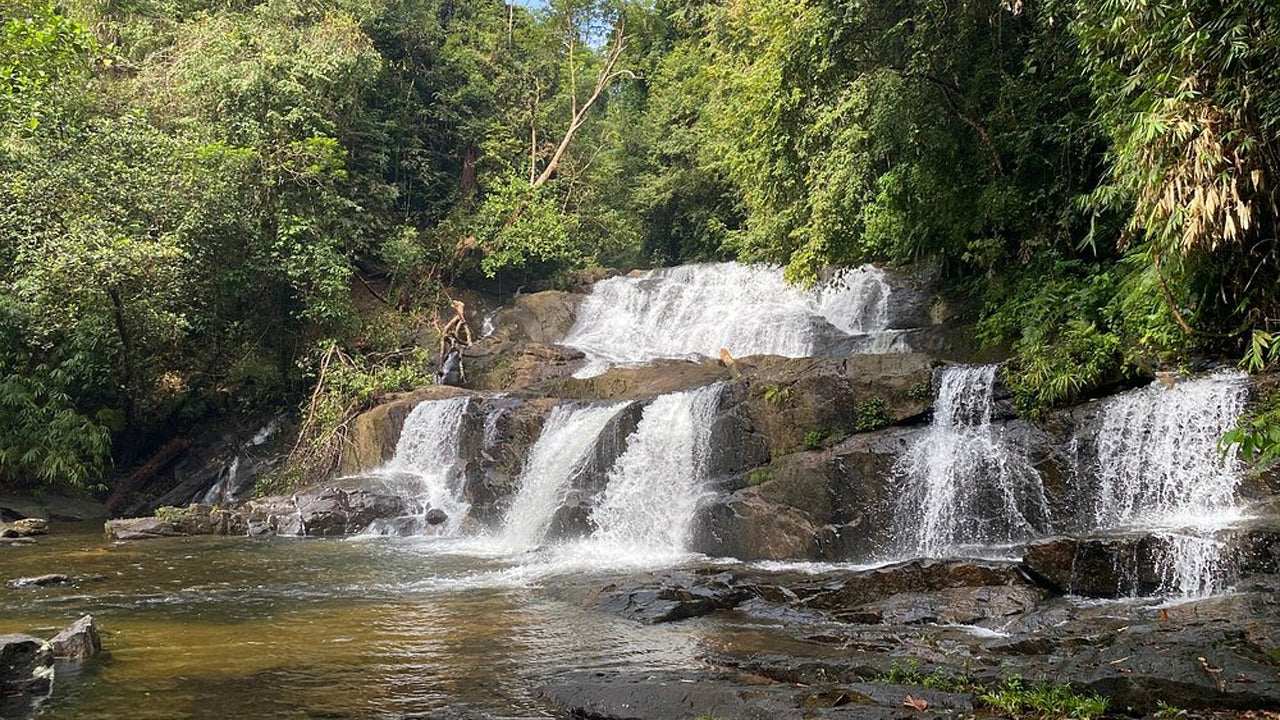 Excursión de un día a la selva tropical de Sinharaja desde Ahangama.