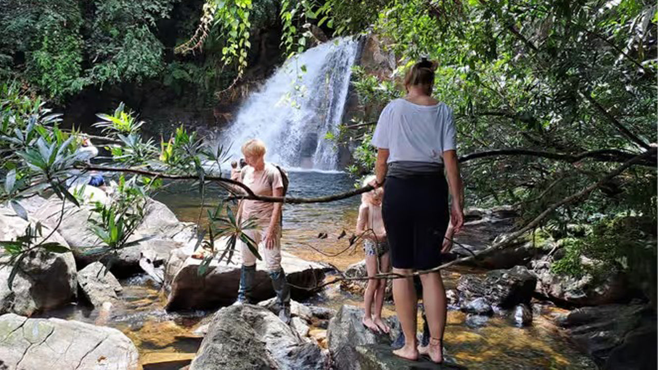 Excursión de un día a la selva tropical de Sinharaja desde Ahangama.